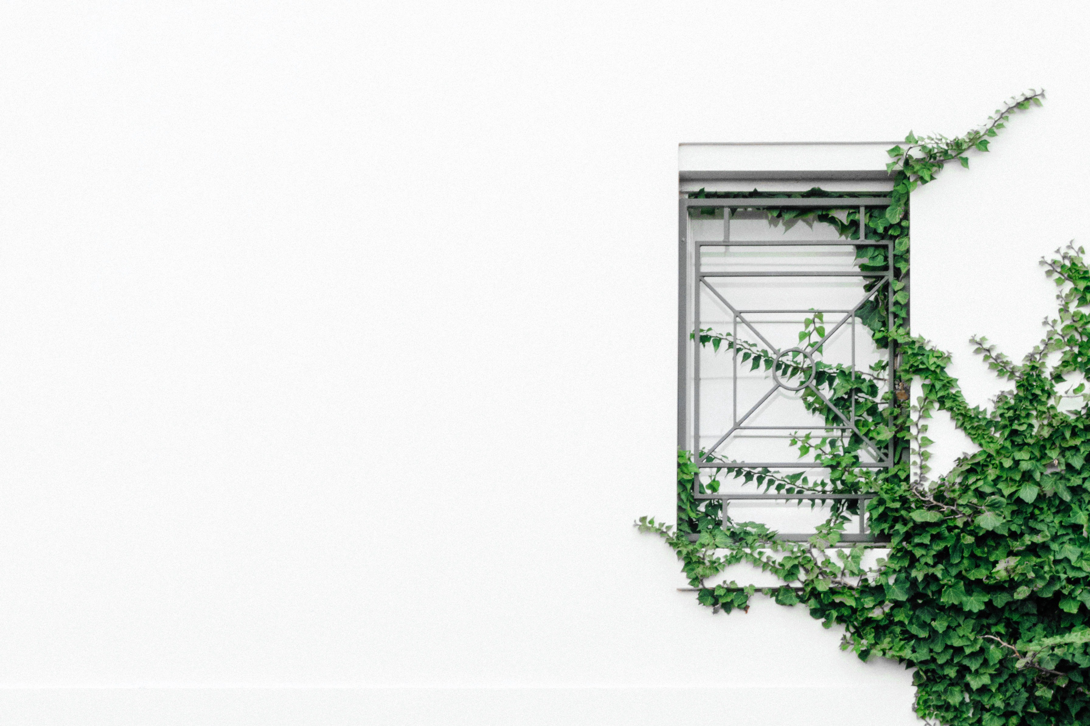 Ben Neale 245472 Unsplash